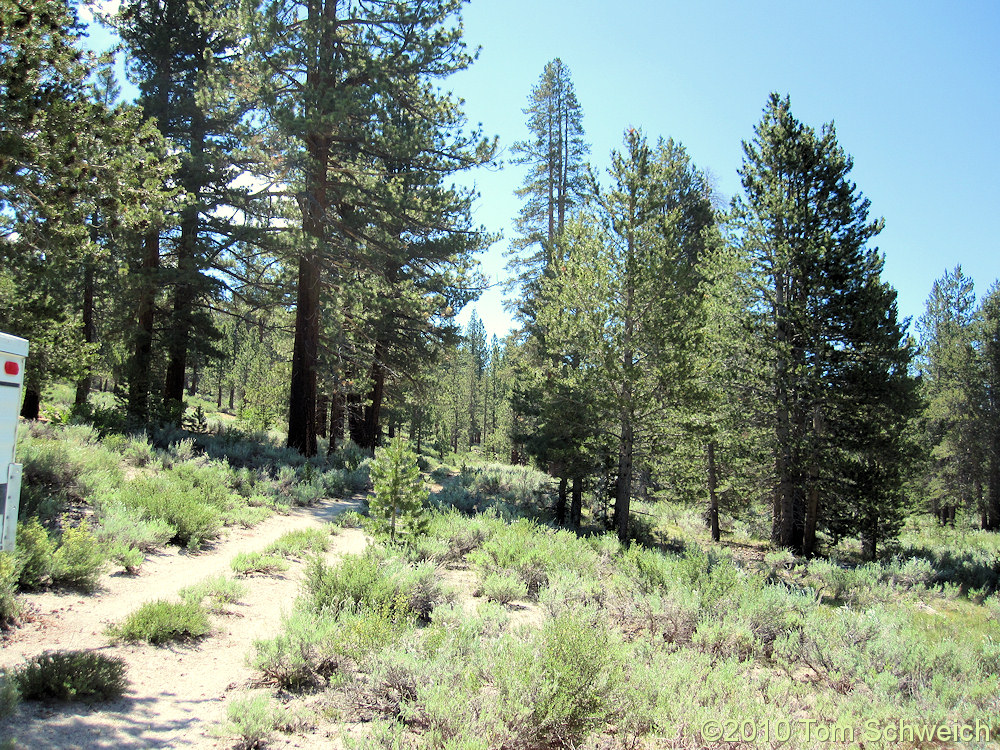 California, Mono County, Dry Creek