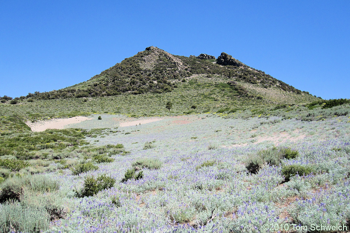 California, Mono County, Sagehen Peak