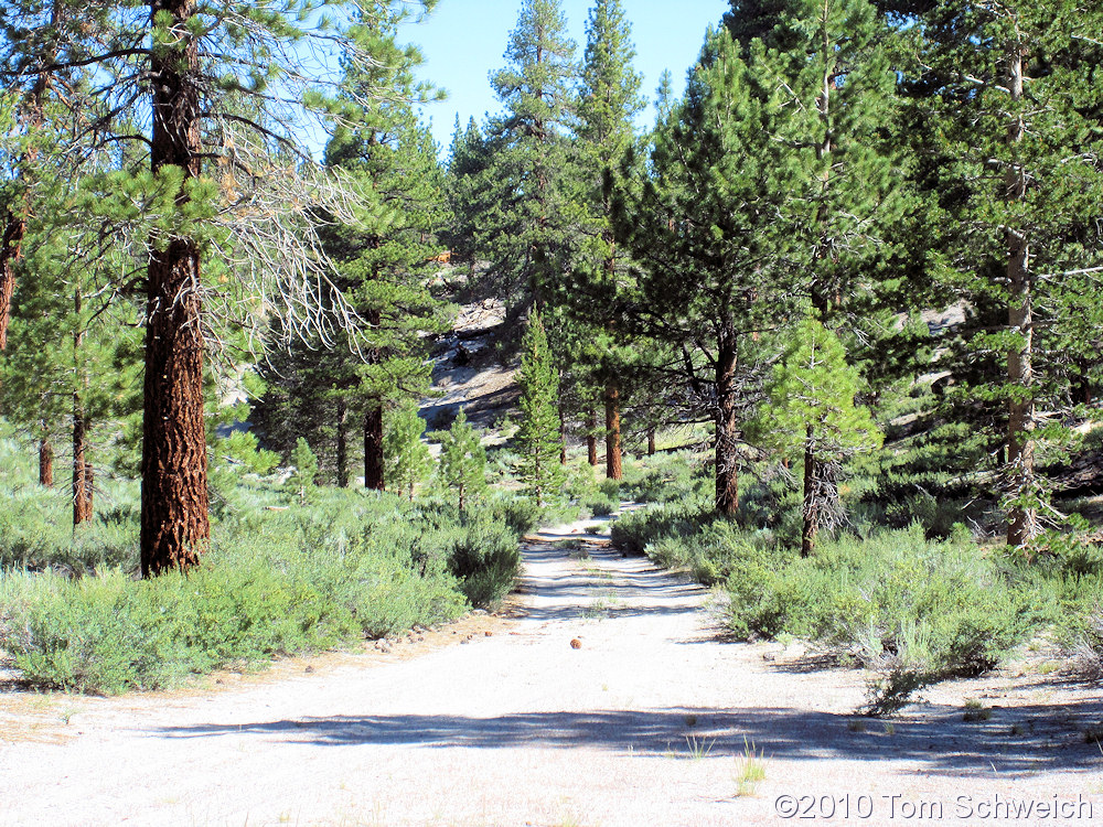 California, Mono County, Dry Creek