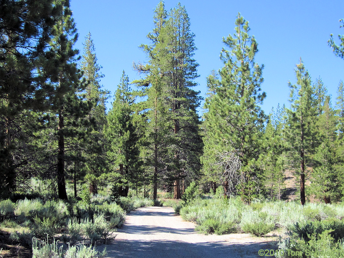 California, Mono County, Mono Basin