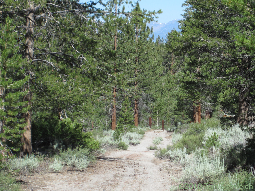 California, Mono County, Dry Creek