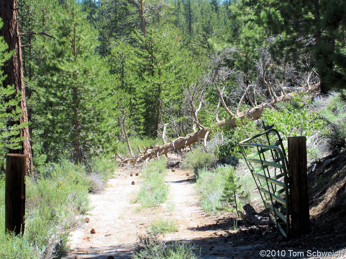 California, Mono County, Dry Creek