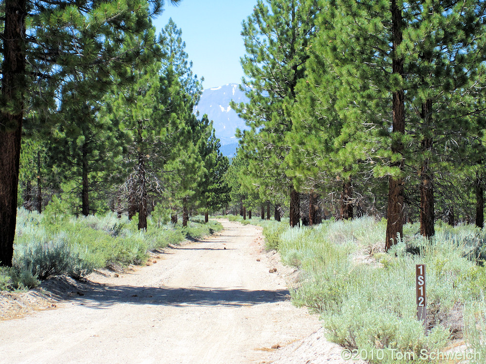 California, Mono County, Mono Basin