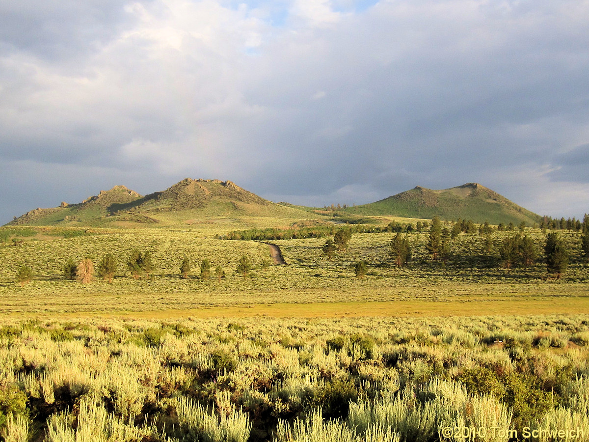 California, Mono County, Sagehen Meadow