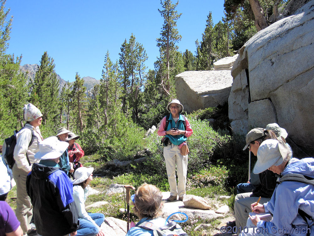 California, Mono County, Ellery Lake