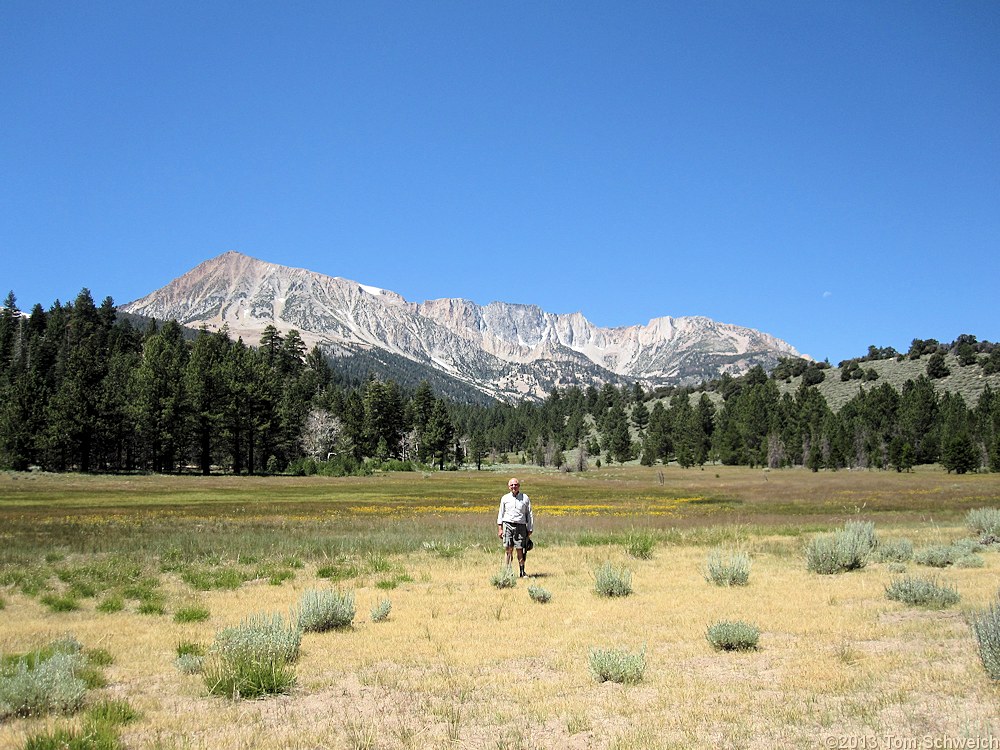 California, Mono County, Upper Horse Meadow