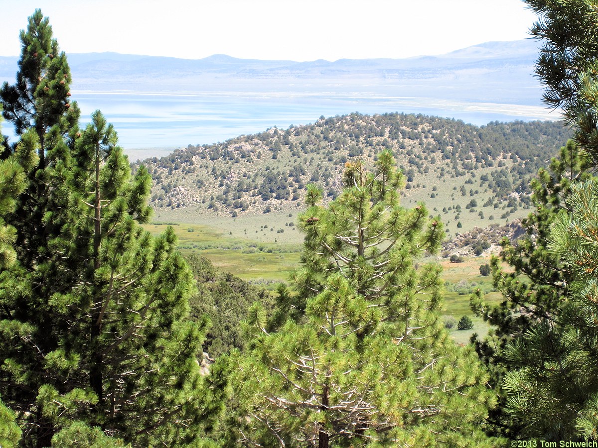 California, Mono County, Lower Horse Meadow