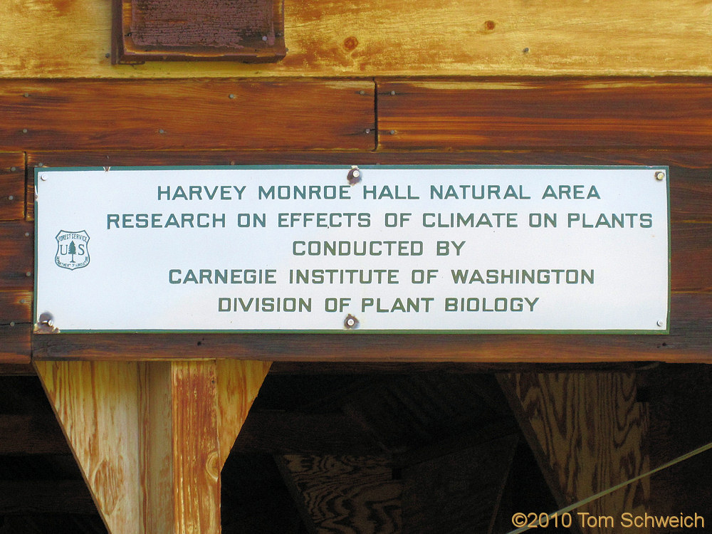 California, Mono County, Harvey Monroe Hall Research Natural Area