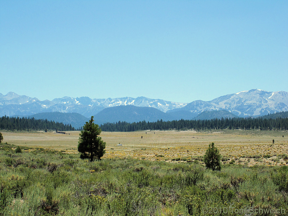 California, Mono County, Airfield Flat