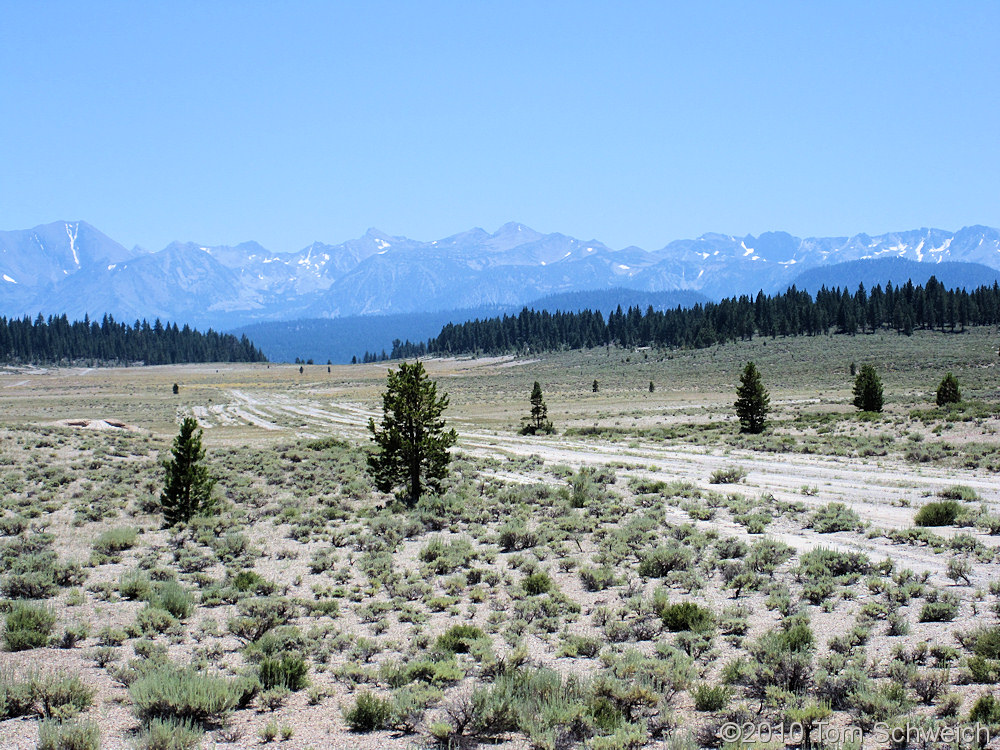 California, Mono County, Airfield Flat