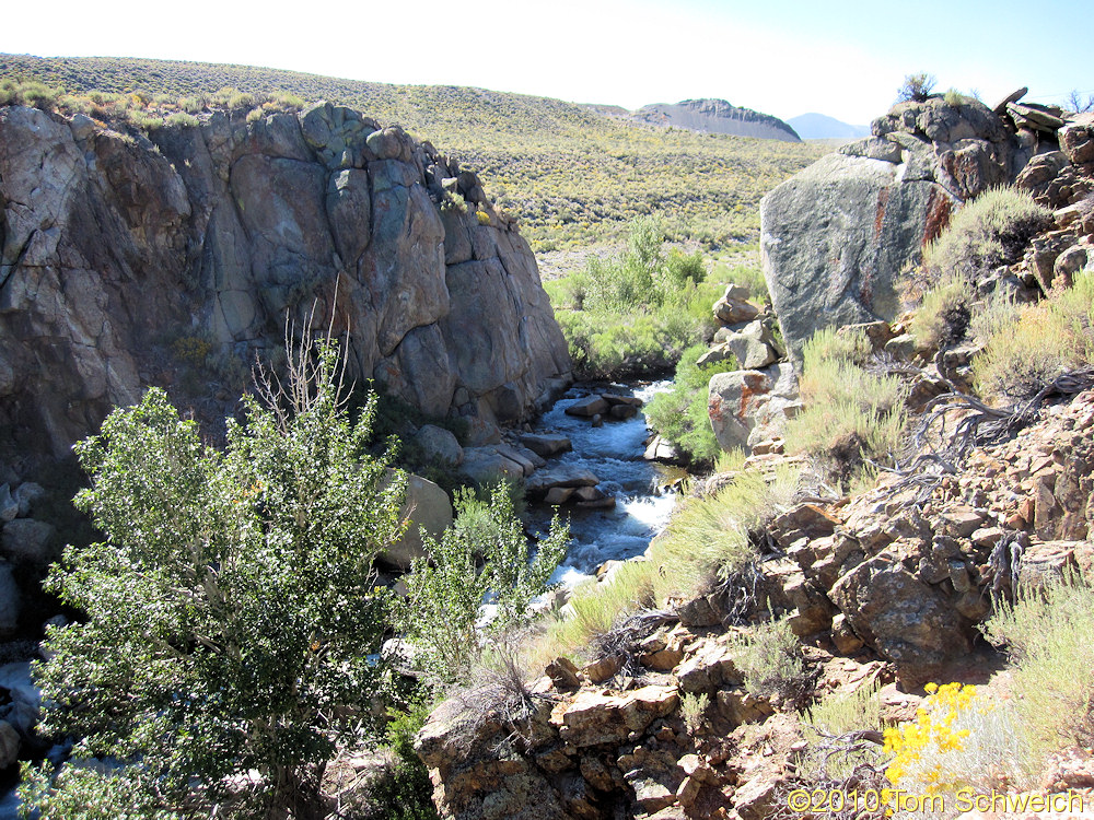 California, Mono County, Rush Creek