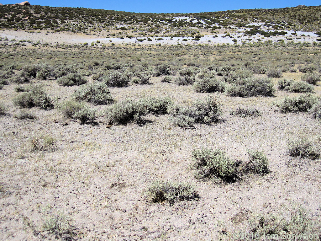 California, Mono County, Big Sand Flat