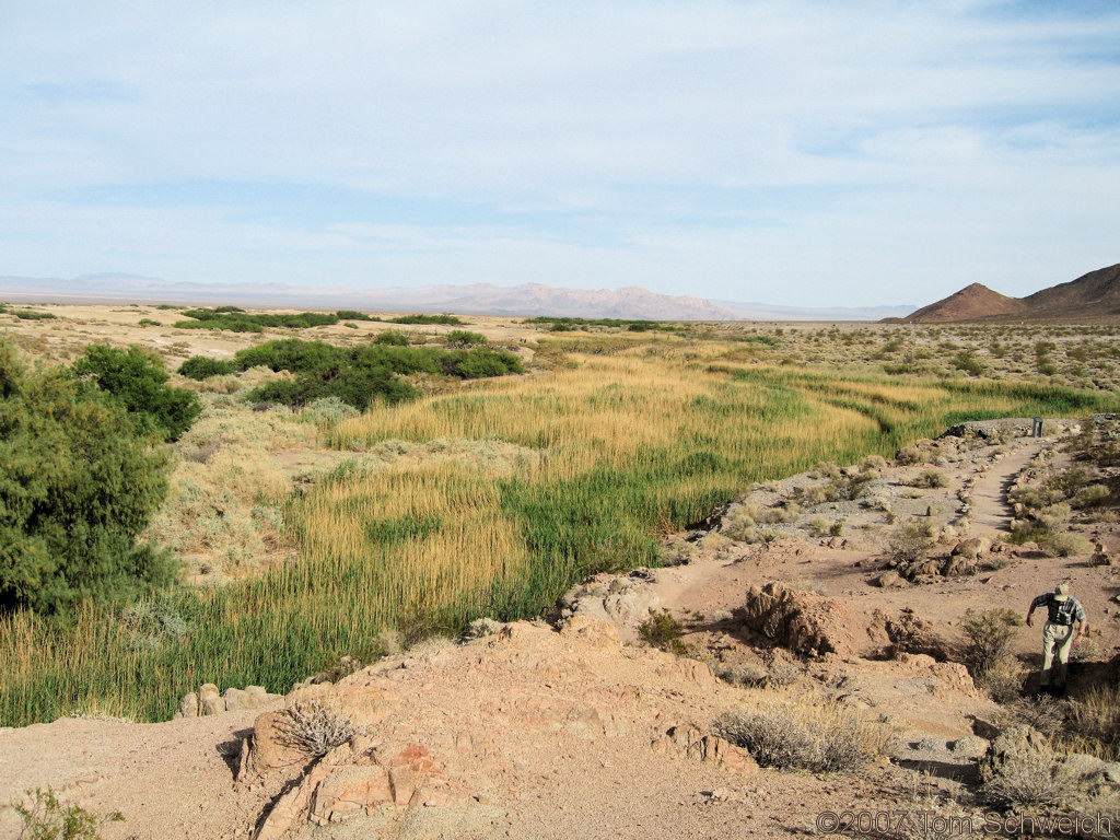 Salt Creek, San Bernardino County, California