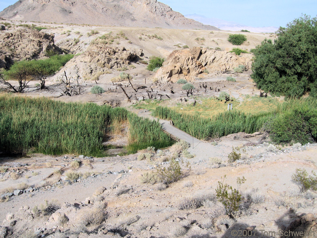 Salt Creek, San Bernardino County, California