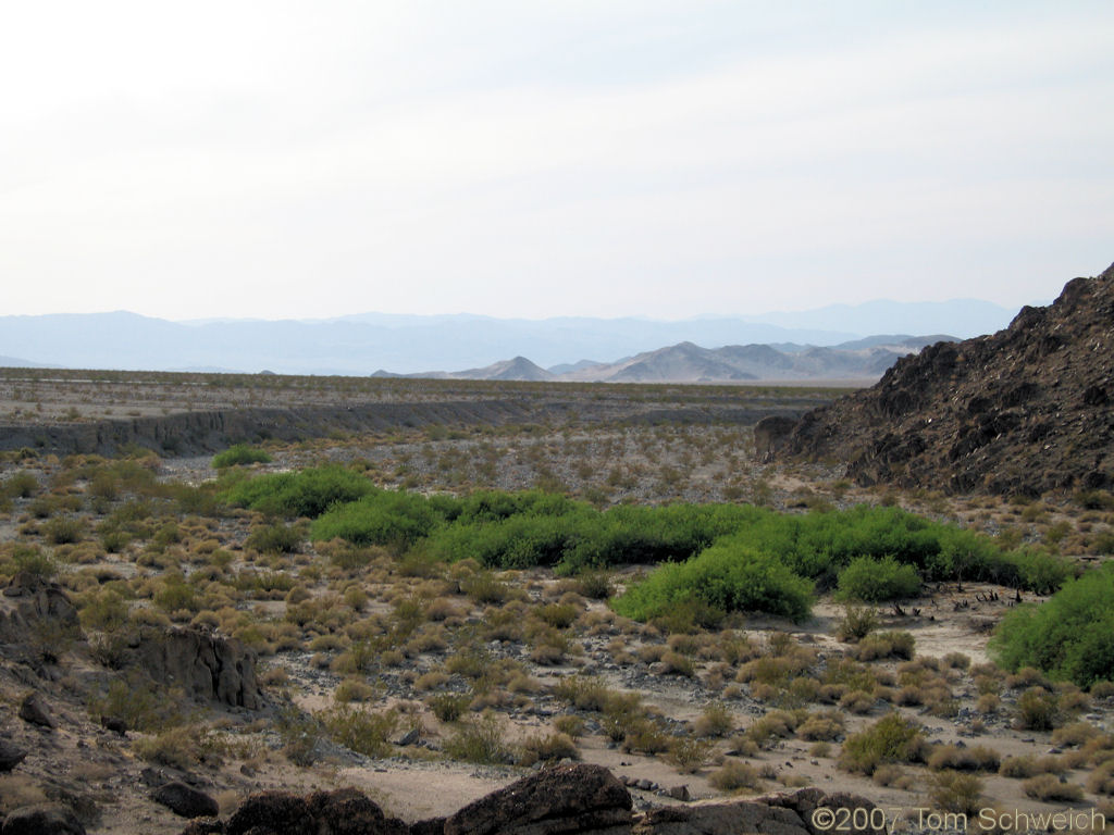 Salt Creek, San Bernardino County, California