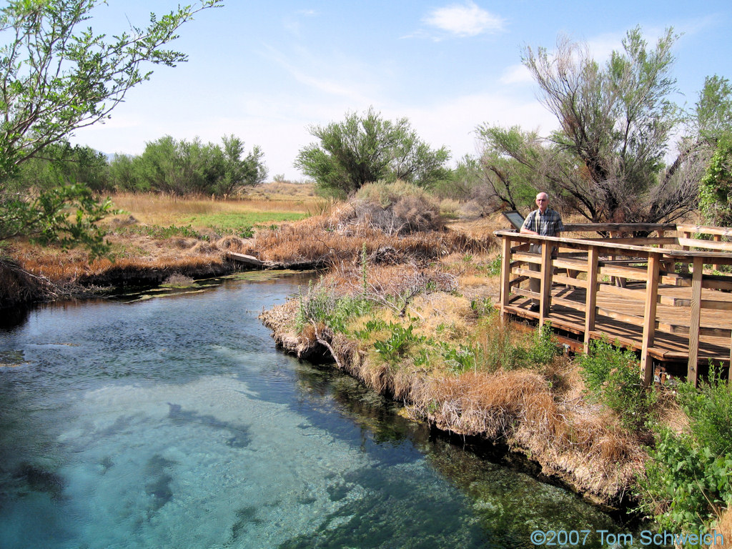 Crystal Pool, Ash Meadows National Wildlife Refuge, Nye County, Nevada