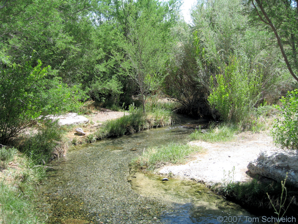 Kings Pool, Point of Rocks Springs, Nye County, California