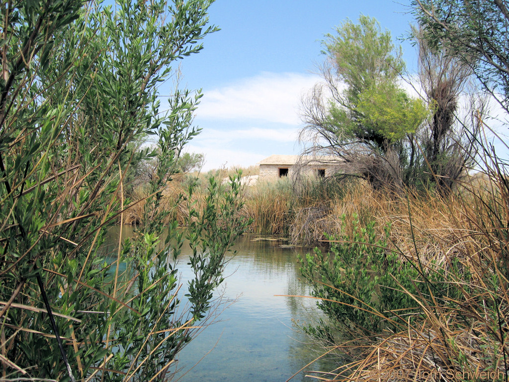 Longstreet Spring, Ash Meadows National Wildlife Refuge, Nye County, Nevada