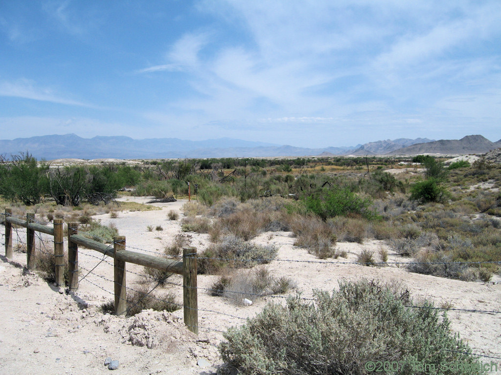 Fairbanks Spring, Ash Meadows National Wildlife Refuge, Nye County, Nevada