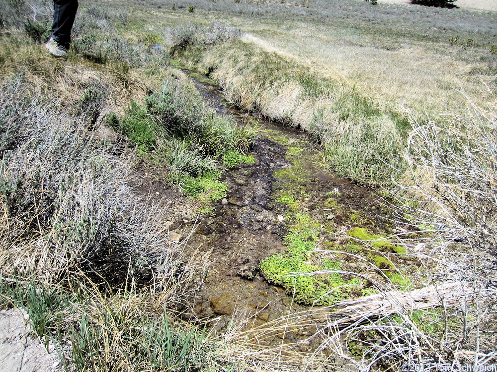 California, Mono County, Crooked Meadows