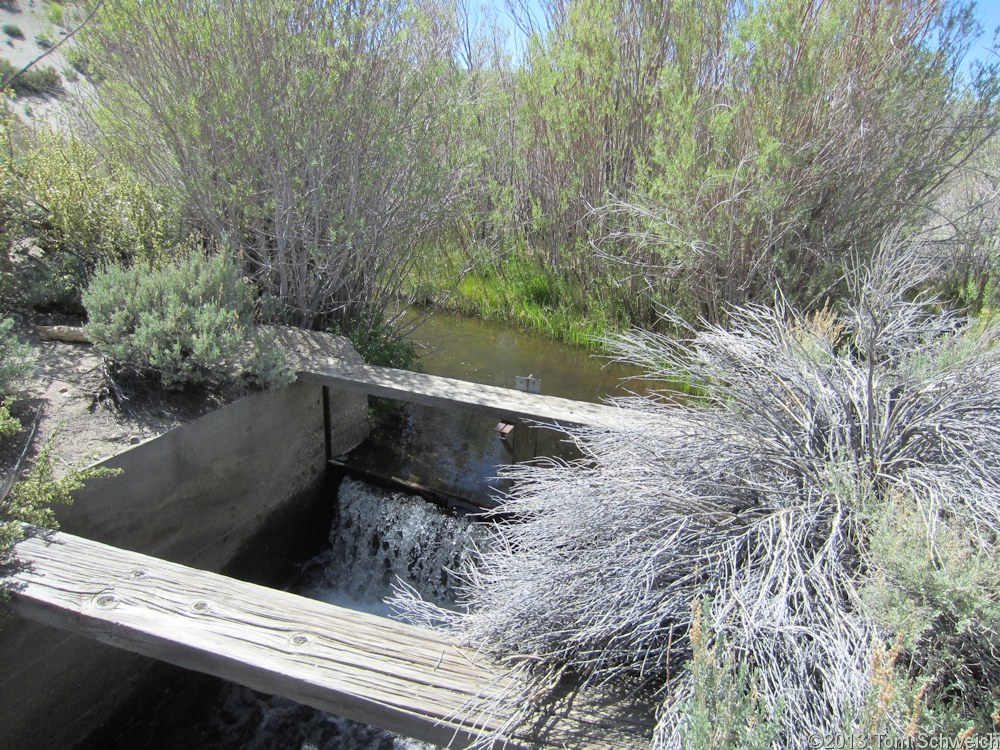 California, Mono County, Wilson Creek