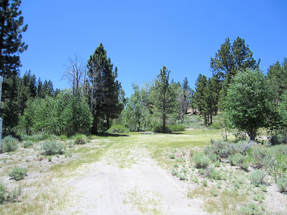 California, Mono County, Sagehen Meadow Campground