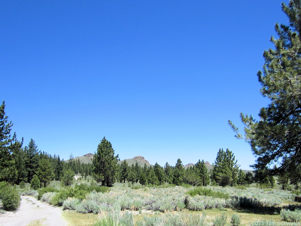 California, Mono County, Sagehen Meadow Campground