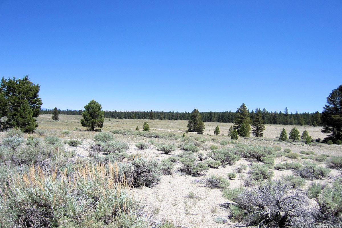 California, Mono County, Railroad Sand Flat