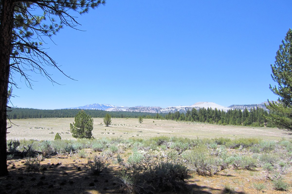 California, Mono County, Railroad Sand Flat