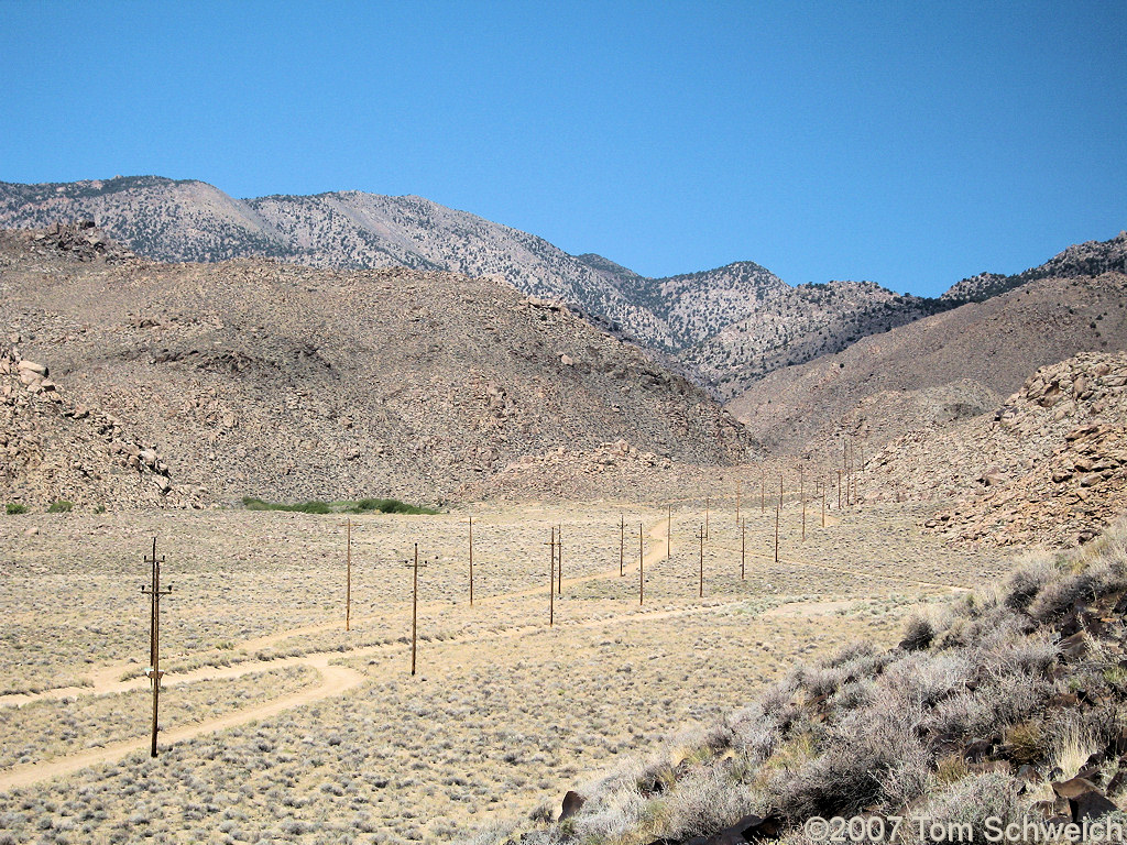 California, Inyo County, White Mountains, Wyman Canyon