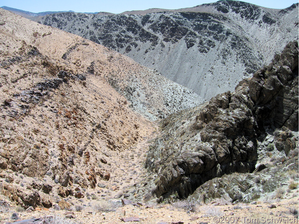 California, Inyo County, White Mountains, Coldwater Canyon