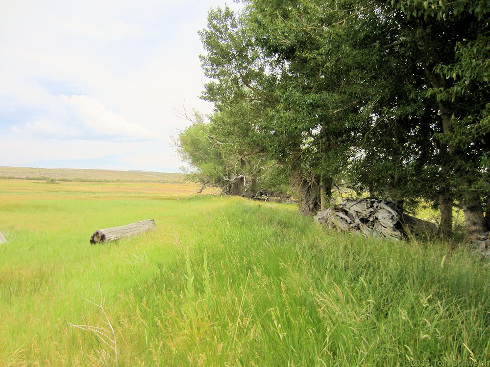 California, Mono County, Thompson Ranch