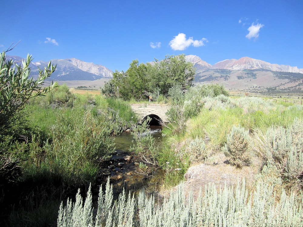 California, Mono County, Walker Creek