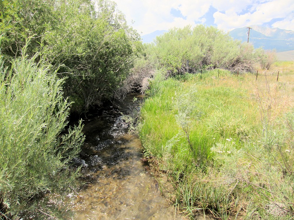 California, Mono County, Parker Creek