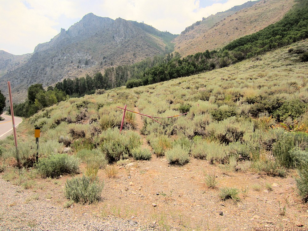 California, Mono County, Grant Lake