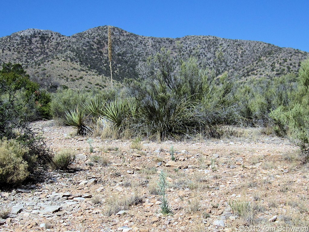 Arizona, Cochise County, Johnson