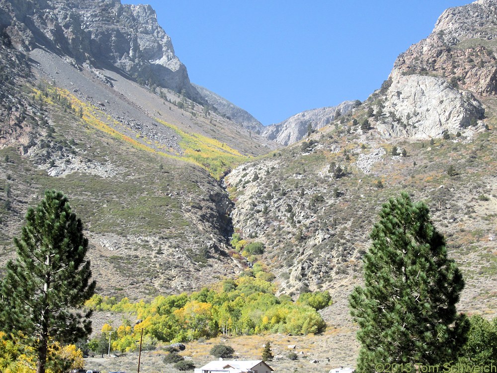 California, Mono County, Alger Creek