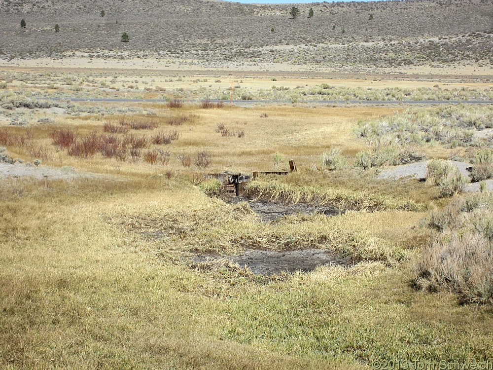 California, Mono County, Dry Creek, Big Sand Flat.