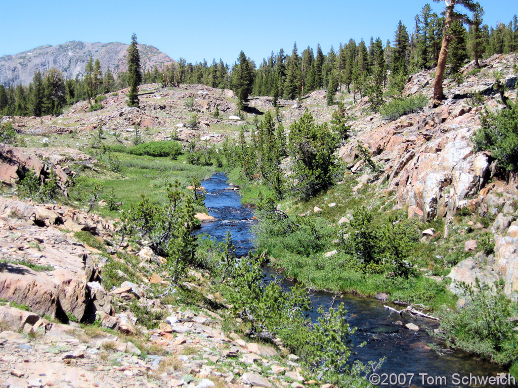 California, Mono County, Mine Creek