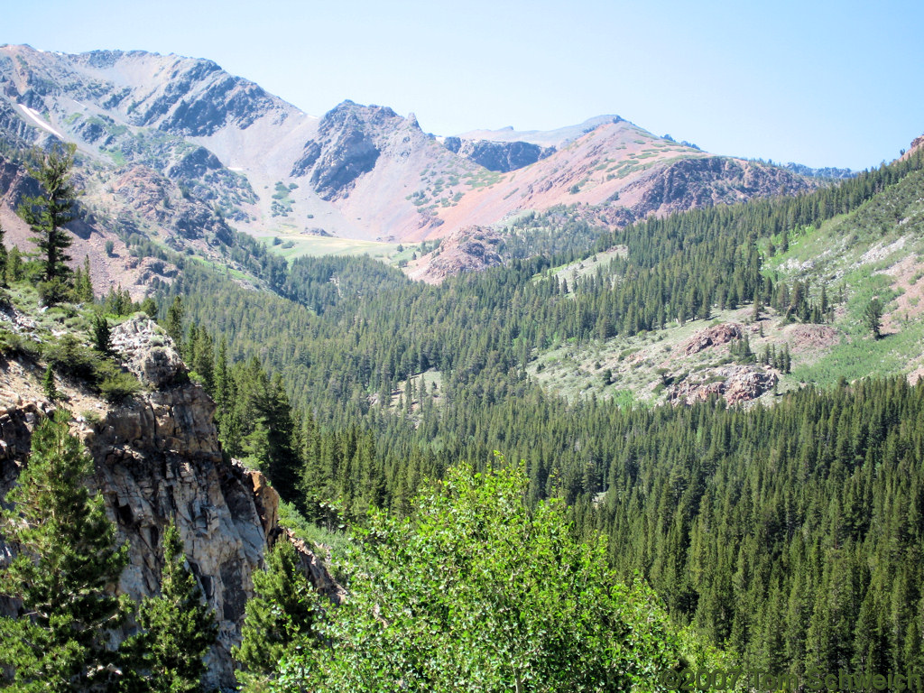 California, Mono County, Warren Canyon