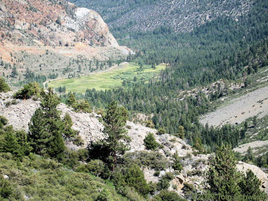 California, Mono County, Lee Vining Canyon