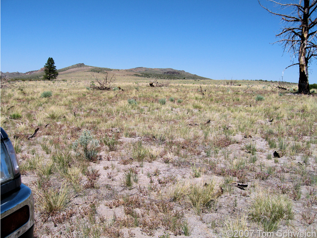 California, Mono County, Big Sand Flat