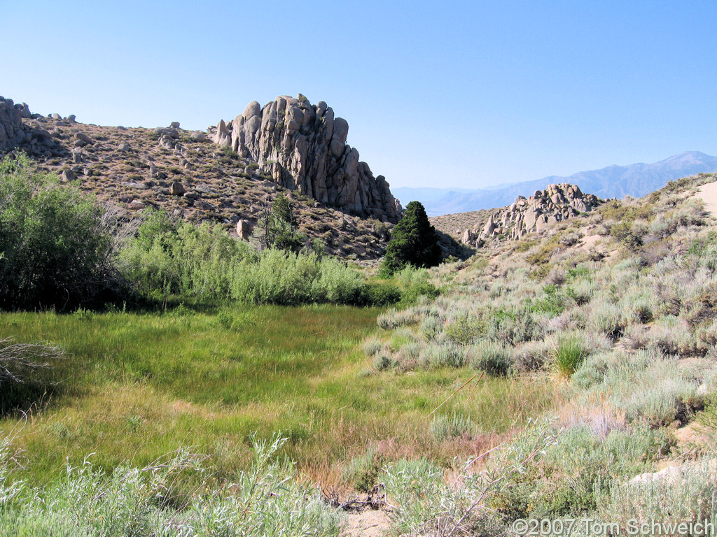 California, Mono County, Mono Diggins