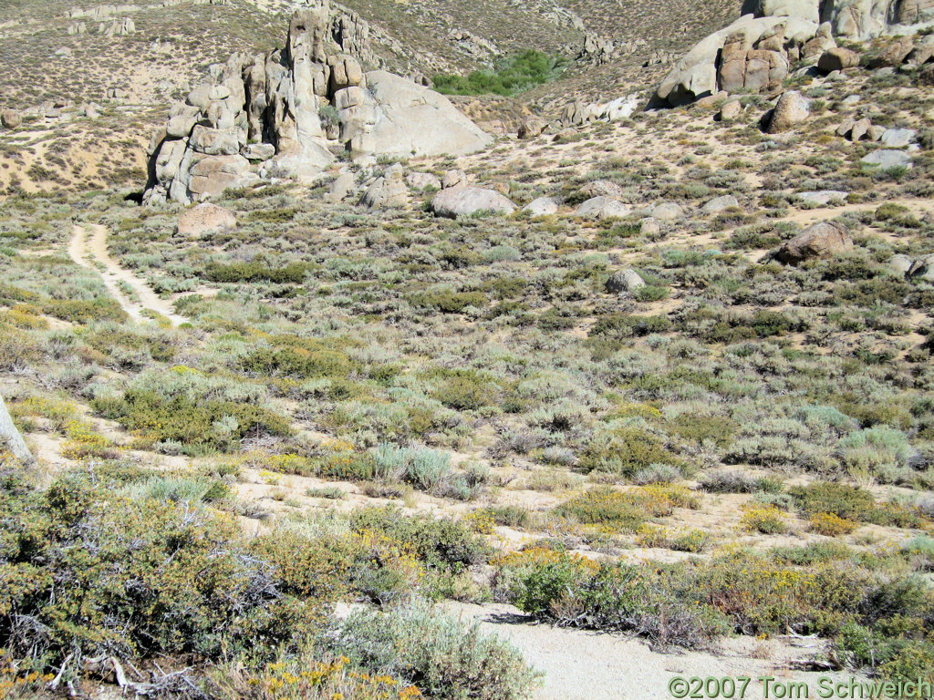 California, Mono County, Mono Diggins