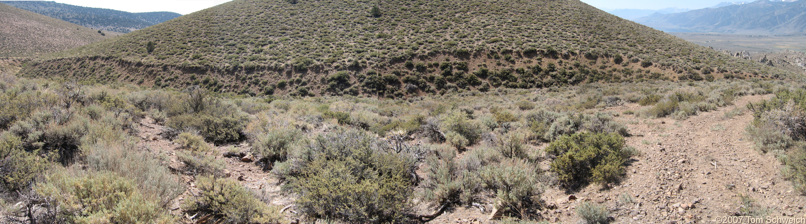 California, Mono County, Mono Diggins