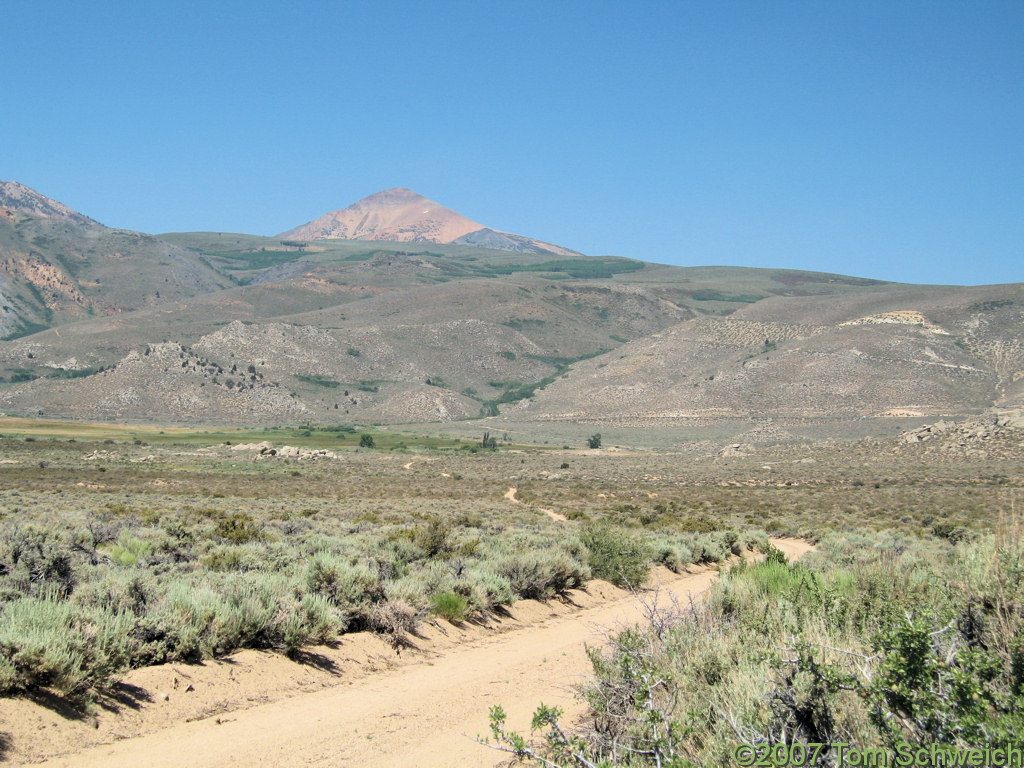 California, Mono County, Conway Ranch, Wilson Creek, Dunderberg Peak