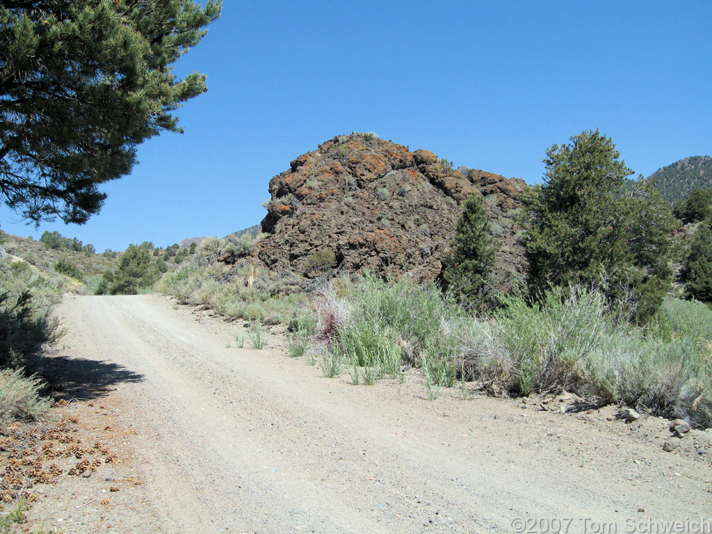 California, Mono County, Bridgeport Canyon, Coyote Spring Road