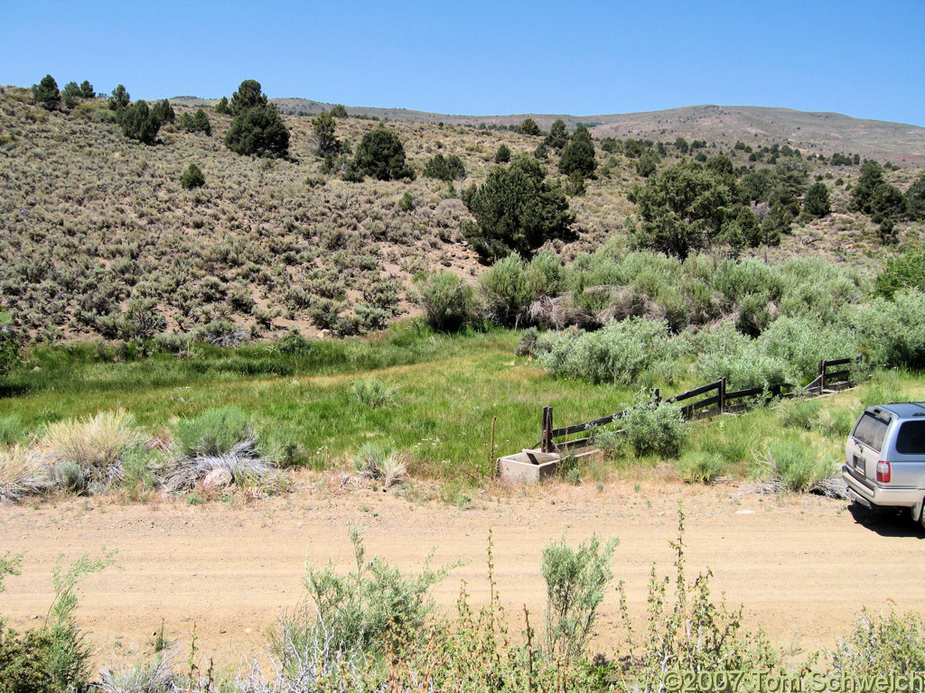 California, Mono County, Bridgeport Canyon, Coyote Spring