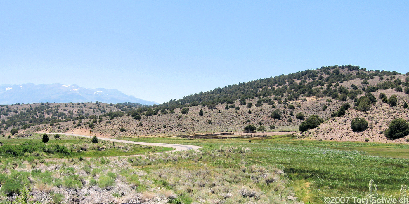 California, Mono County Mormon Meadow