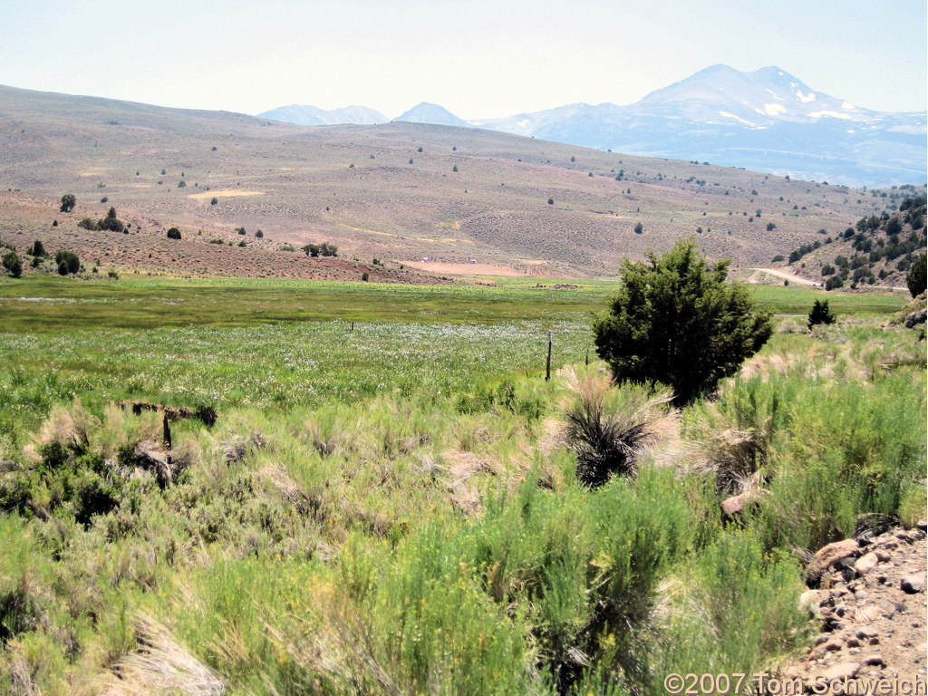 California, Mono County Mormon Meadow